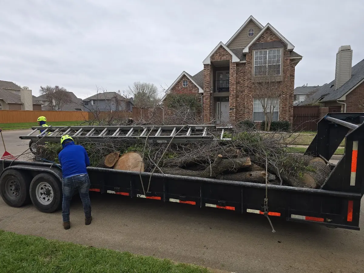 Expert Crown Reduction with proper safety equipment in Finley